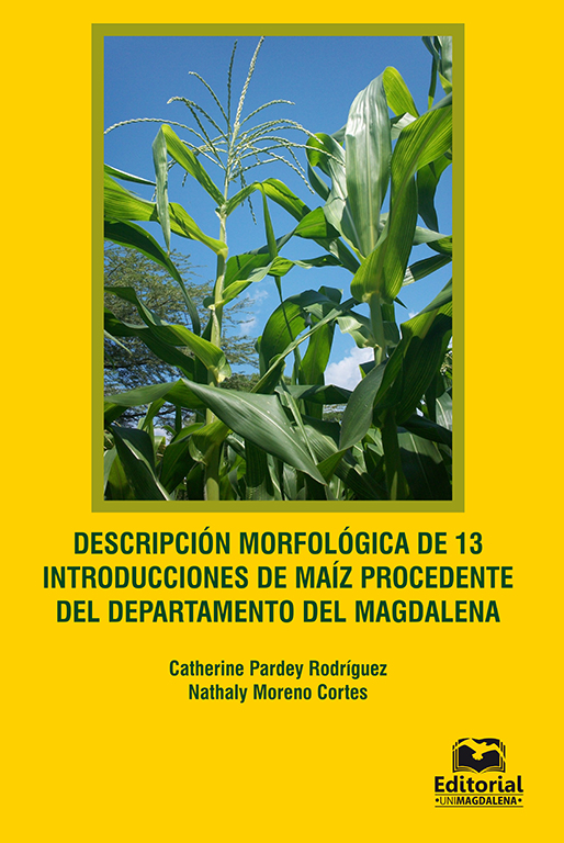 Descripción morfológica de 13 introducciones de maíz
