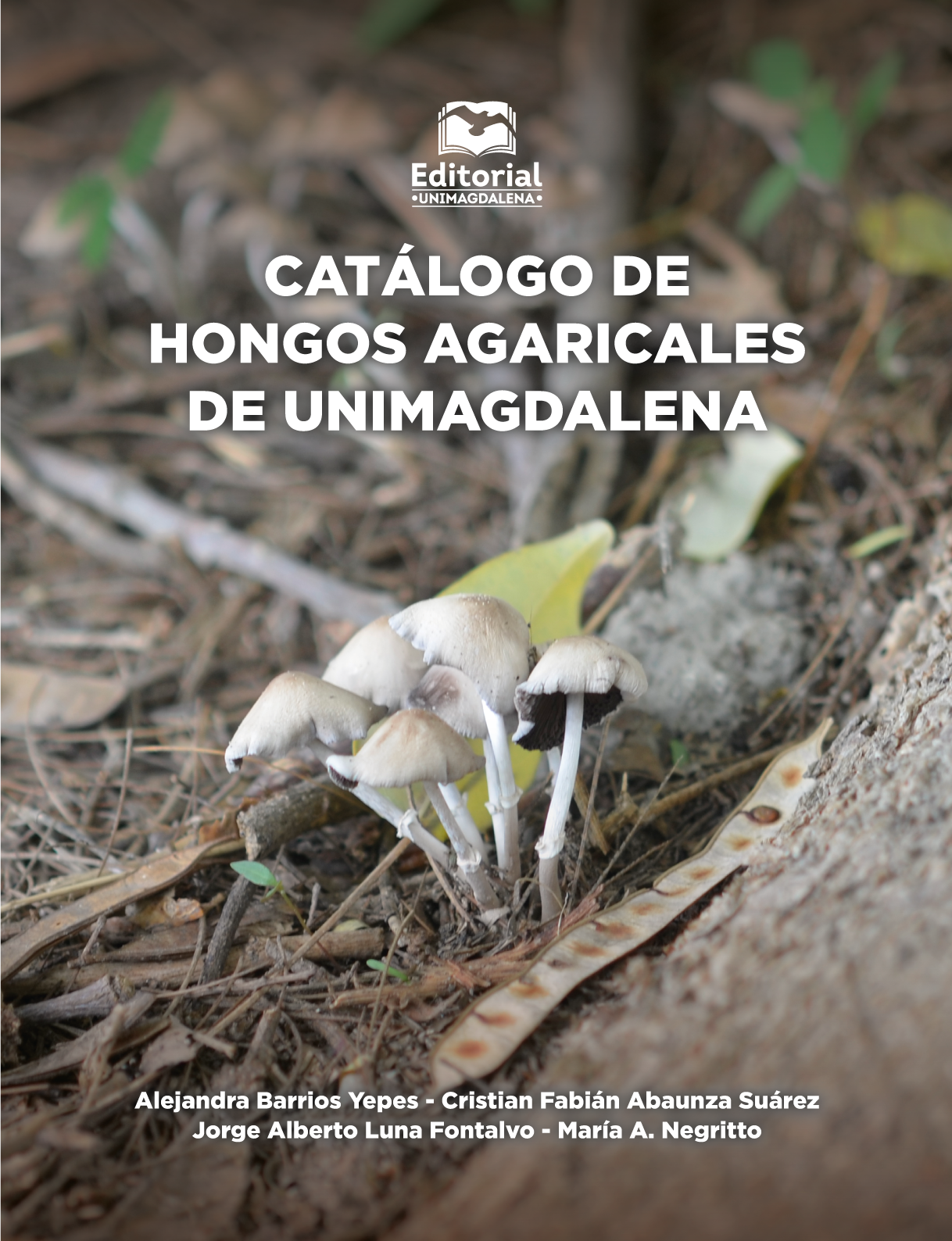 Catálogo de hongos Agaricales de Unimagdalena