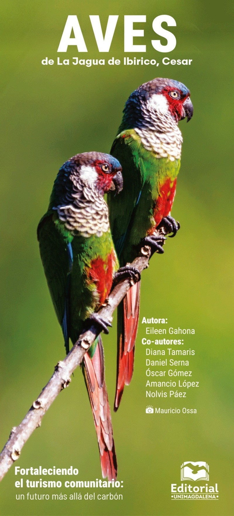 Aves de La Jagua de Ibirico, Cesar