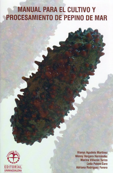 The Outstanding Developer by Sebastien Castiel